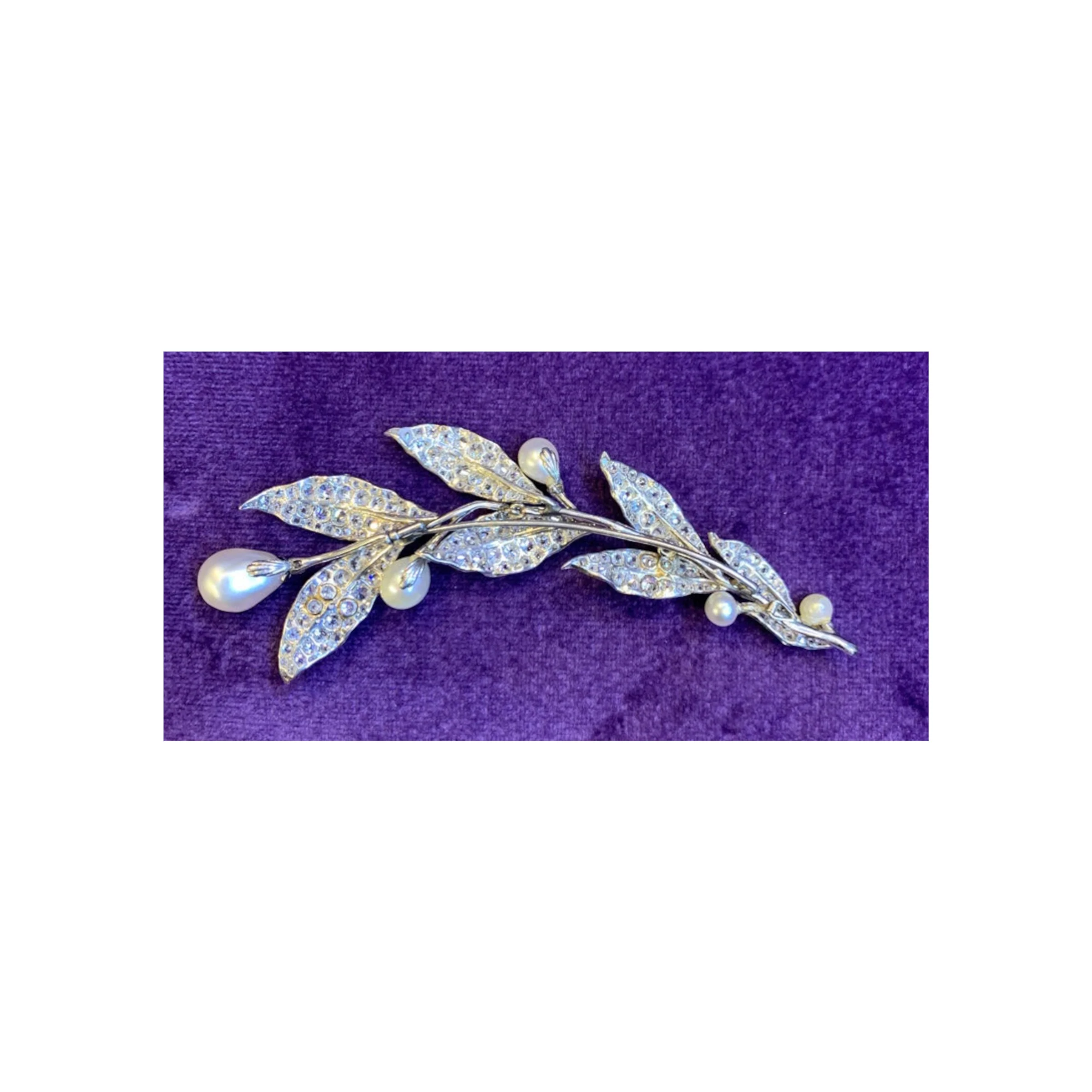 Belle Epoque Natural Pearl and Diamond Flower Brooch or Hairpiece - Image 4