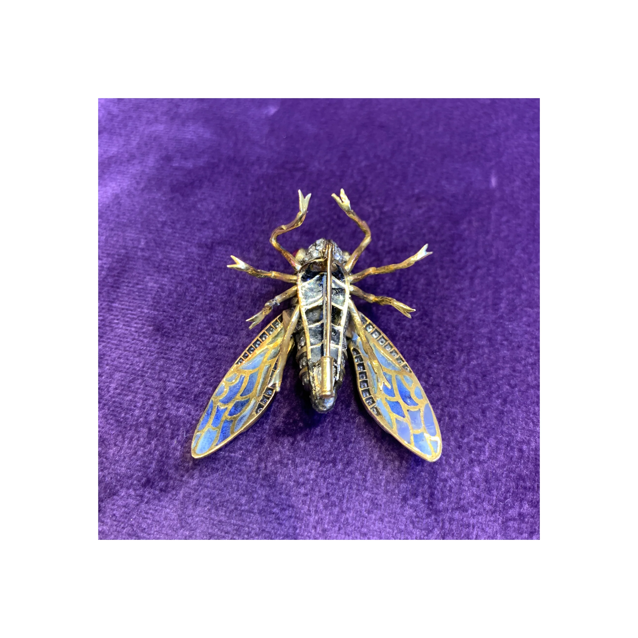 Plique a Jour Cicada Brooch - Image 14